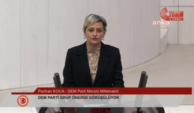 DEM Partisi Milletvekili Perihan Koca, AKP Milletvekili Fatma Öncü’ye el hareketi yaptı iddiası