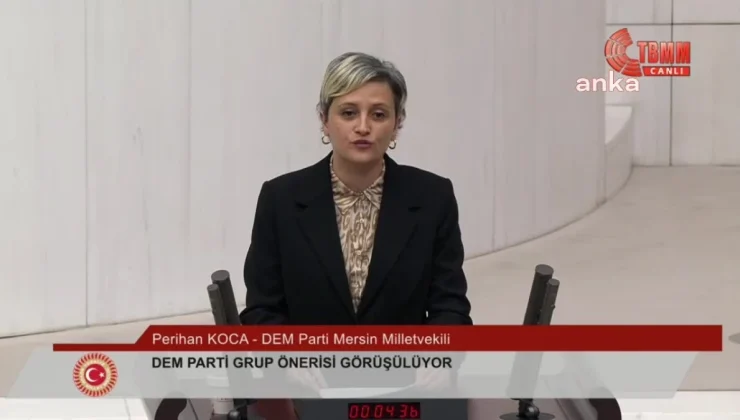 DEM Partisi Milletvekili Perihan Koca, AKP Milletvekili Fatma Öncü’ye el hareketi yaptı iddiası
