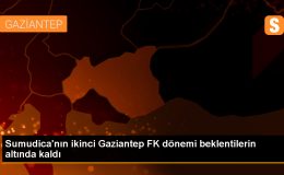 Gaziantep FK Teknik Direktörü Sumudica, Düşme Hattından Kurtaramadı