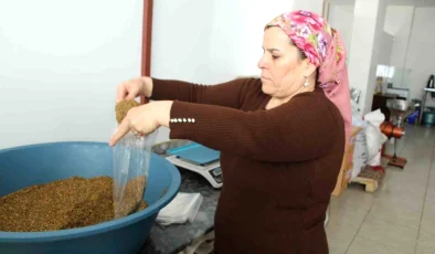 Şırnak’ta Menengiç Kahvesi İşine Girişen Kadın Girişimci