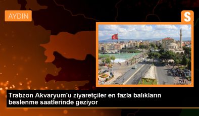 Trabzon Akvaryumunda Dalgıçlar Köpek Balıklarını Besliyor