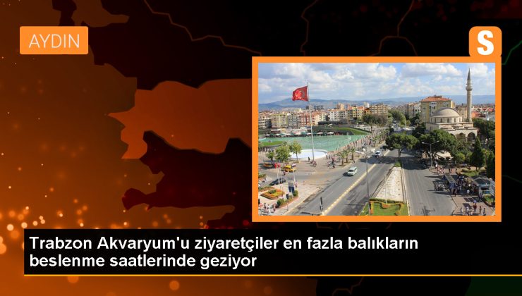 Trabzon Akvaryumunda Dalgıçlar Köpek Balıklarını Besliyor