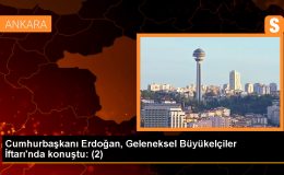 Cumhurbaşkanı Erdoğan, dost ülkelerden terör örgütlerine verilen desteğin kesilmesini bekliyor