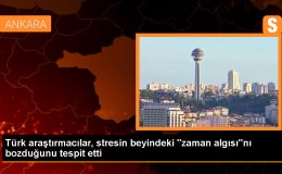 Dopamin ve stres, beynin zaman algısını etkiliyor