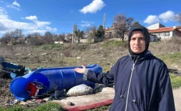 Başıboş köpekler ve çöp sorunu Eskişehir’de gündemde