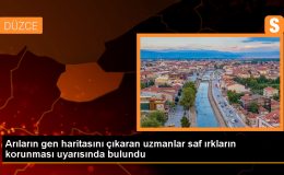 Türkiye’deki Saf Arı Irkı Sayısı Azaldı